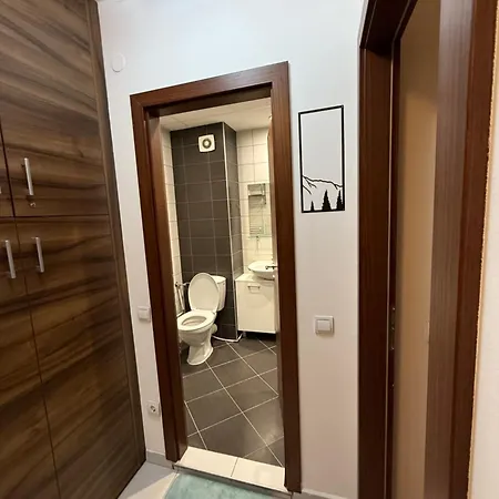 Апарт-отель Denitsa Боровец
