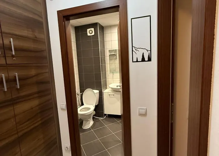 Hotel apartamentowy Denitsa Borowec